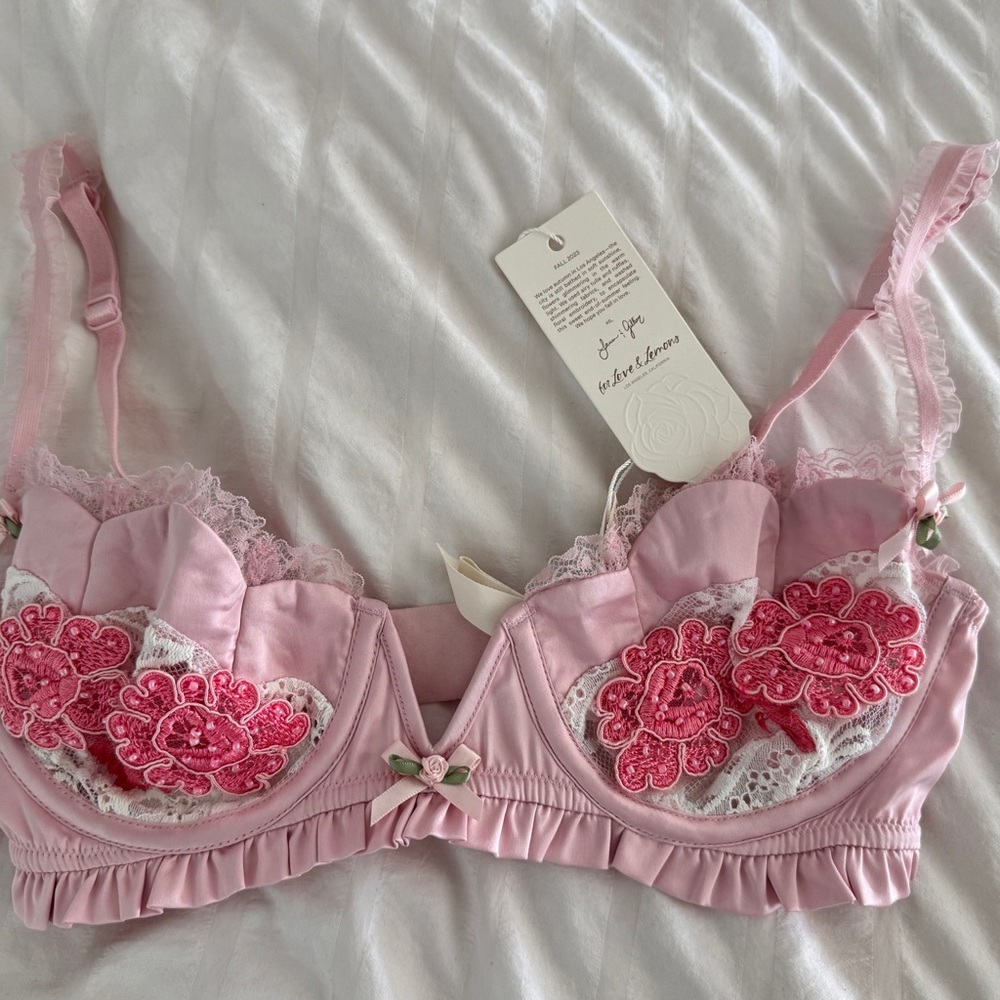 BNWT For Love And Lemons Pink Floral Embroidered Bra - Picture 1 of 5